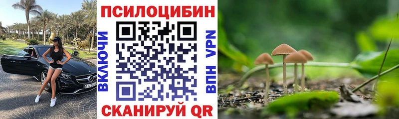 hydra маркетплейс  Черняховск  Галлюциногенные грибы мухоморы 