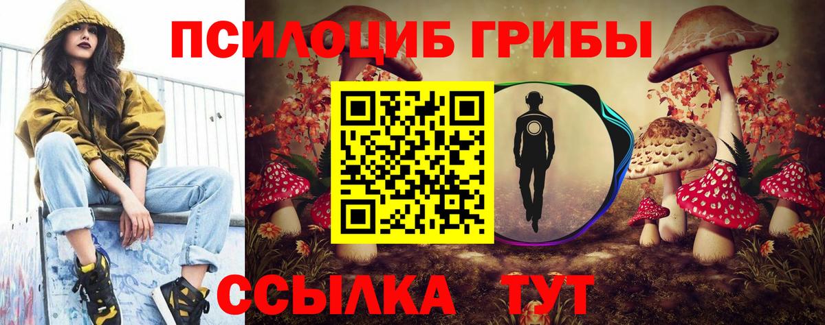Черняховск  Галлюциногенные грибы прущие грибы  Вход с VPN 