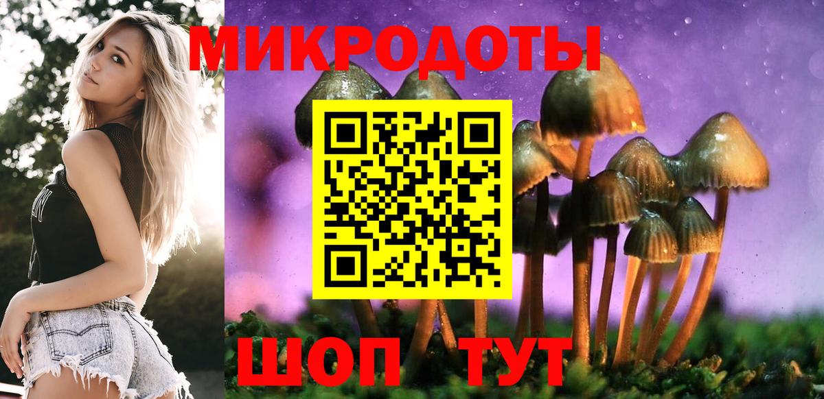 Псилоцибиновые грибы мицелий Черняховск