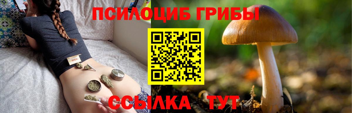 Галлюциногенные грибы прущие грибы  Псилоцибиновые грибы Psilocybine cubensis  Черняховск 